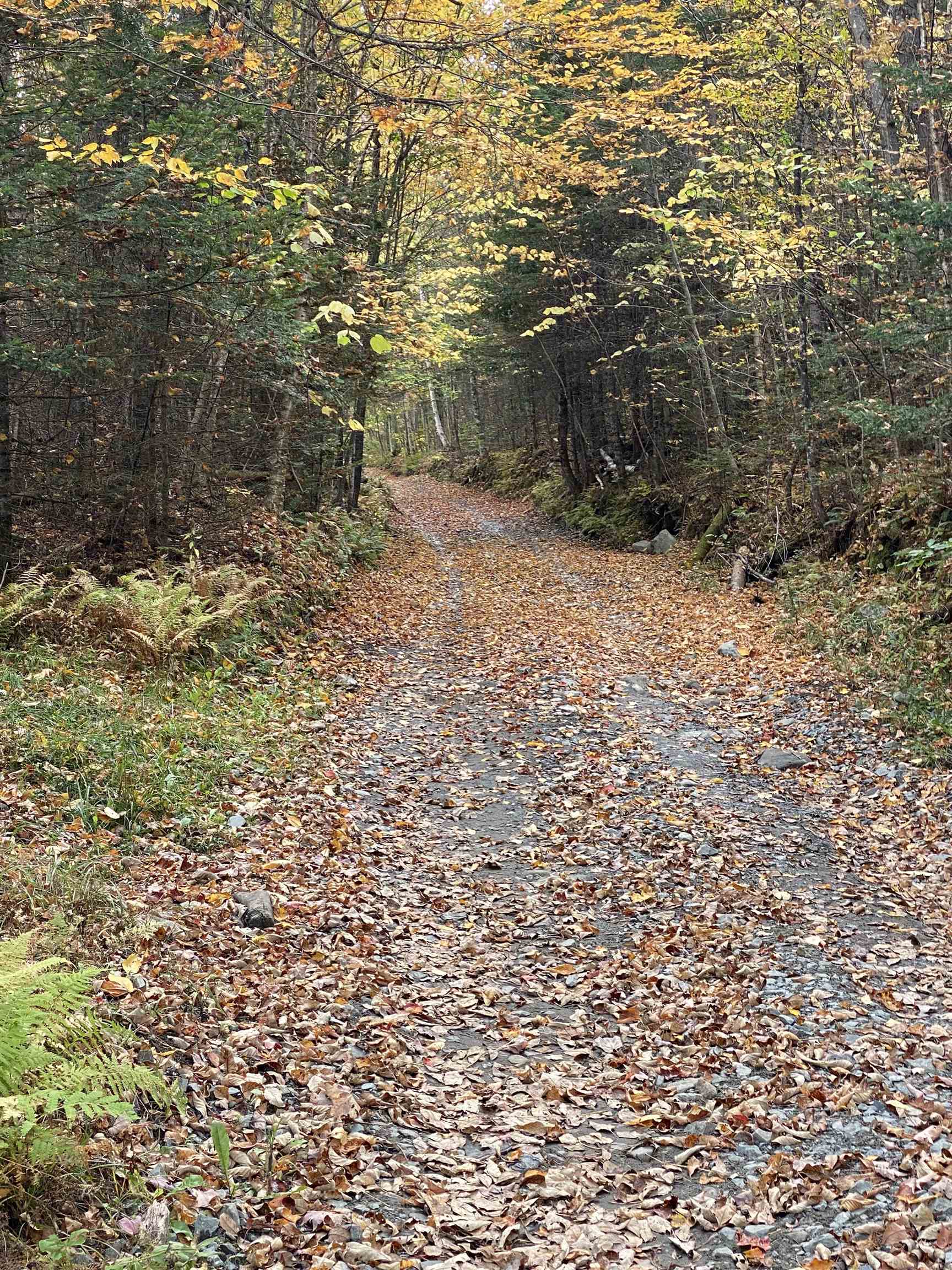 450 Cutting Road Concord, VT 05824 - Photo 17 of 20