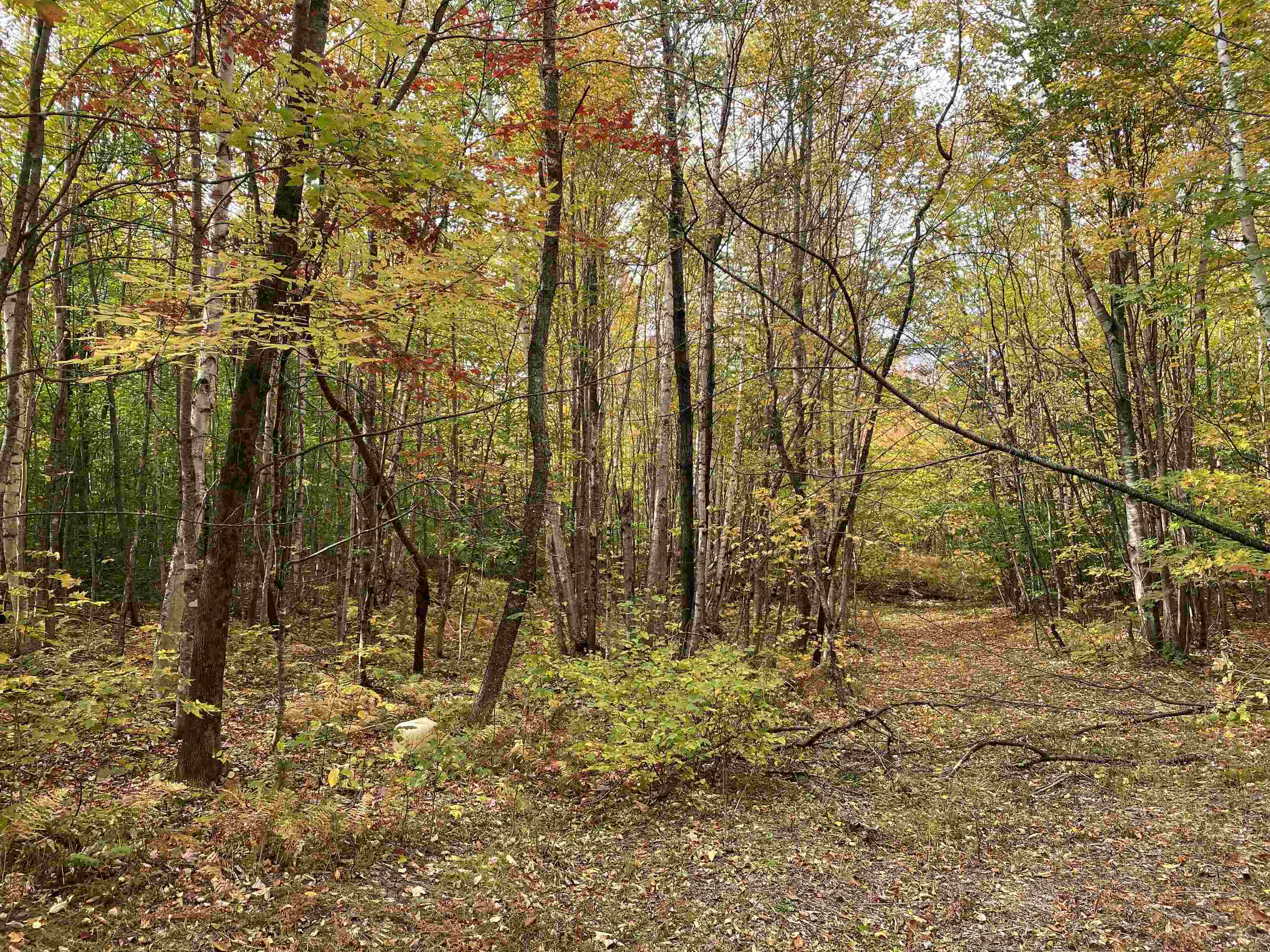 450 Cutting Road Concord, VT 05824 - Photo 18 of 20