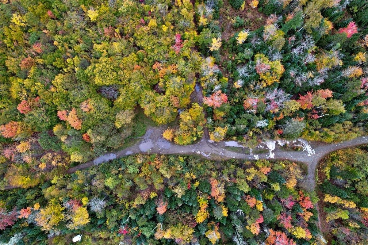 450 Cutting Road Concord, VT 05824 - Photo 20 of 20