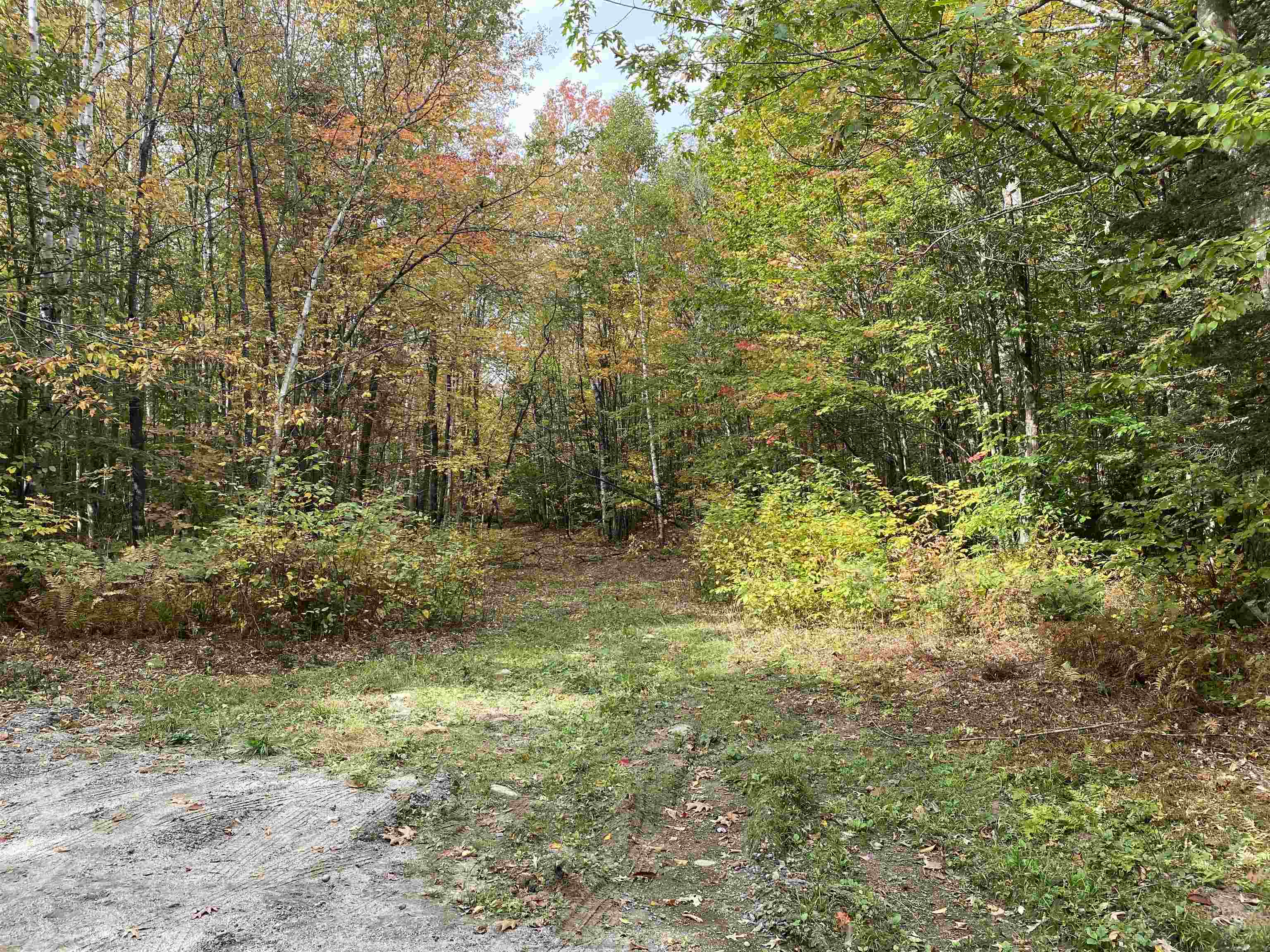 450 Cutting Road Concord, VT 05824 - Photo 2 of 20