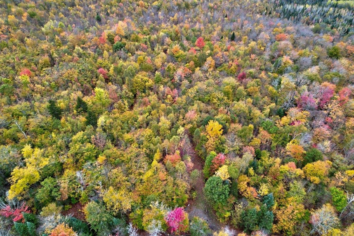 450 Cutting Road Concord, VT 05824 - Photo 3 of 20