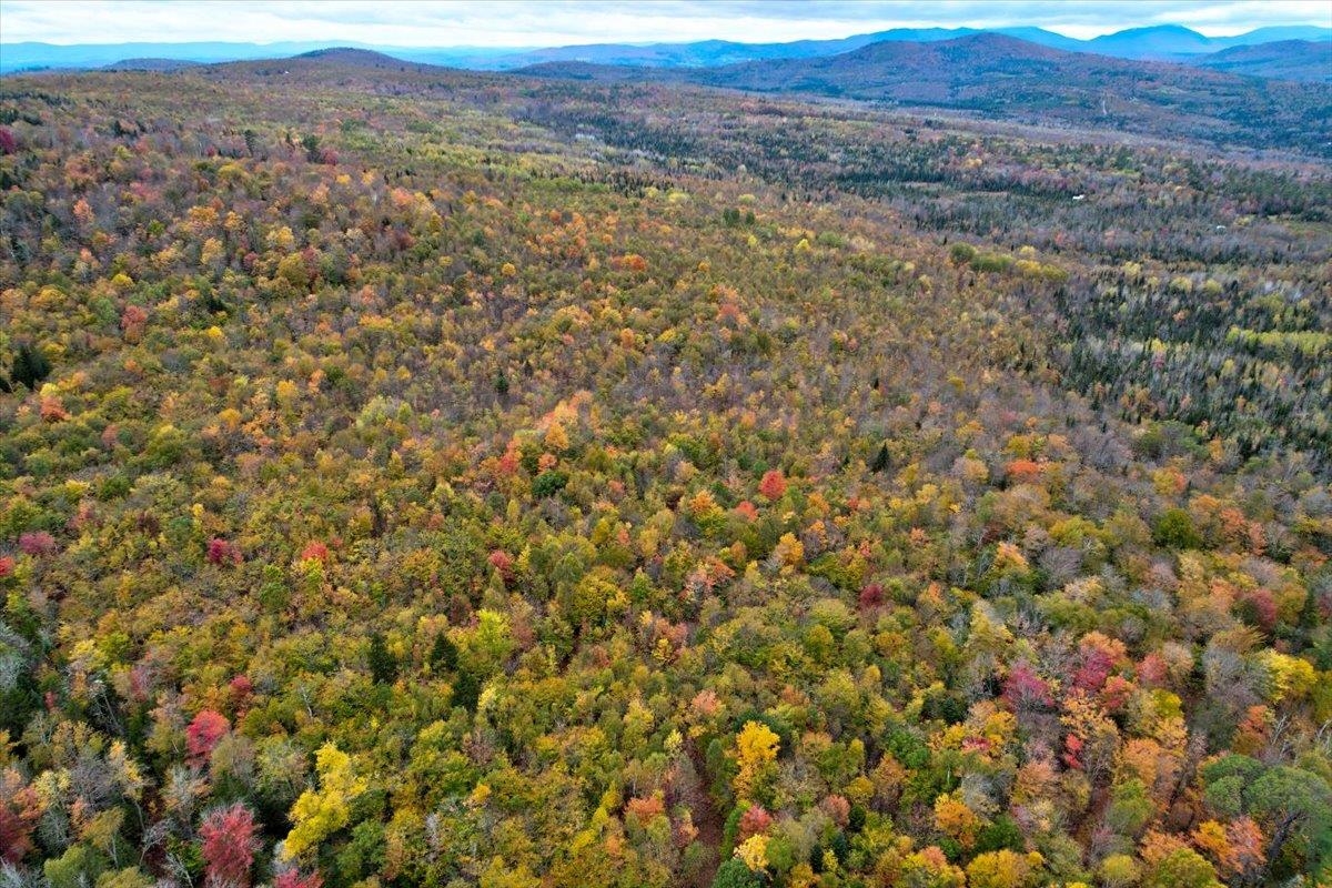 450 Cutting Road Concord, VT 05824 - Photo 4 of 20