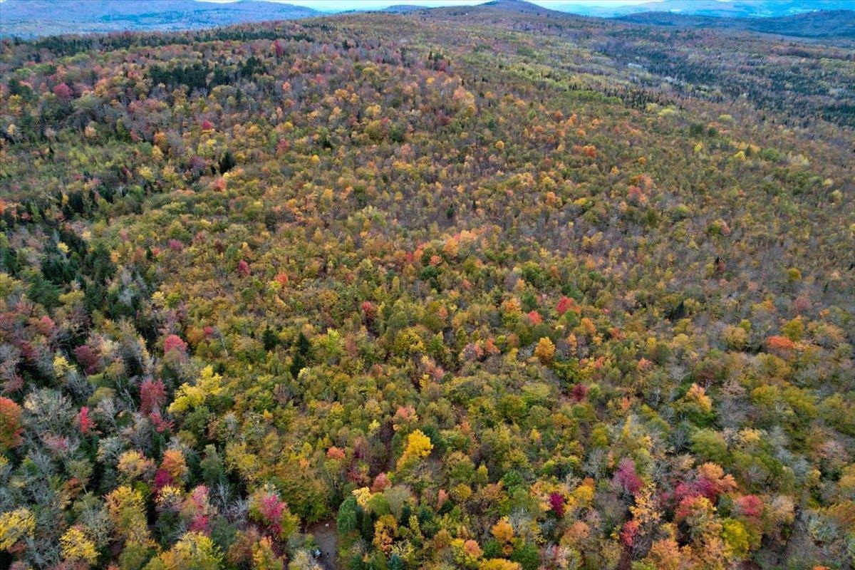 450 Cutting Road Concord, VT 05824 - Photo 5 of 20