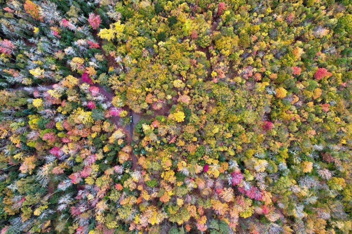 450 Cutting Road Concord, VT 05824 - Photo 6 of 20