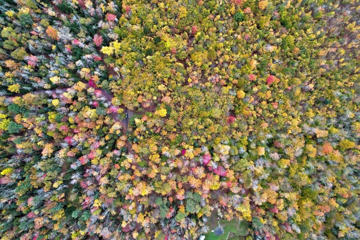 450 Cutting Road Concord, VT 05824 - Photo 7 of 20