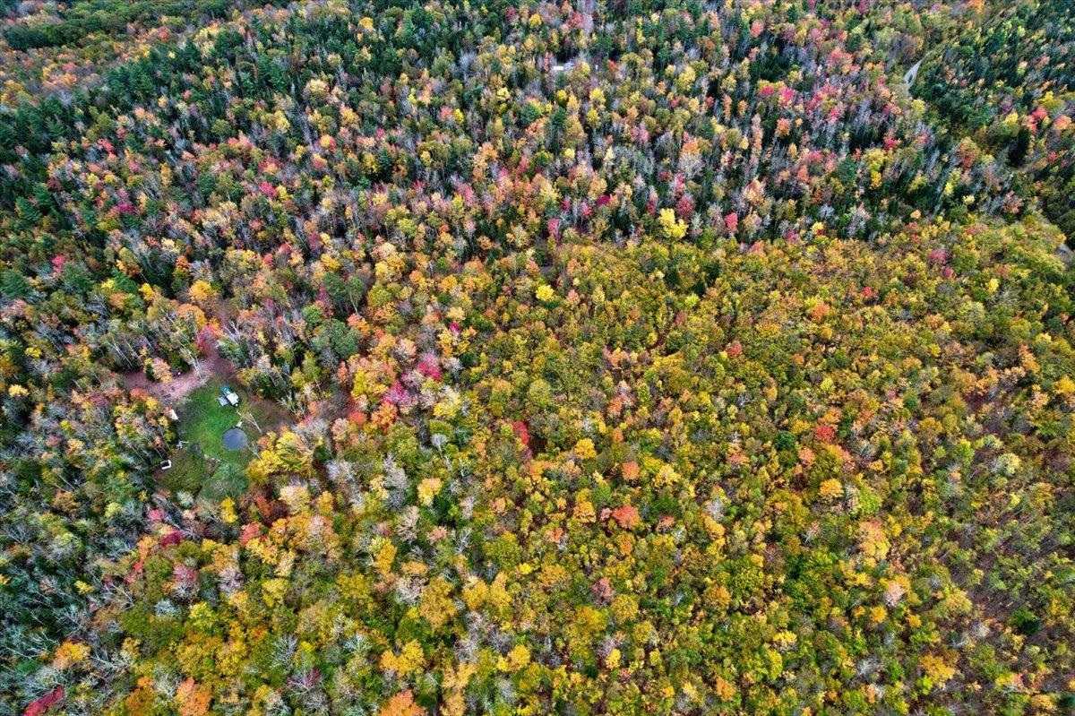 450 Cutting Road Concord, VT 05824 - Photo 8 of 20