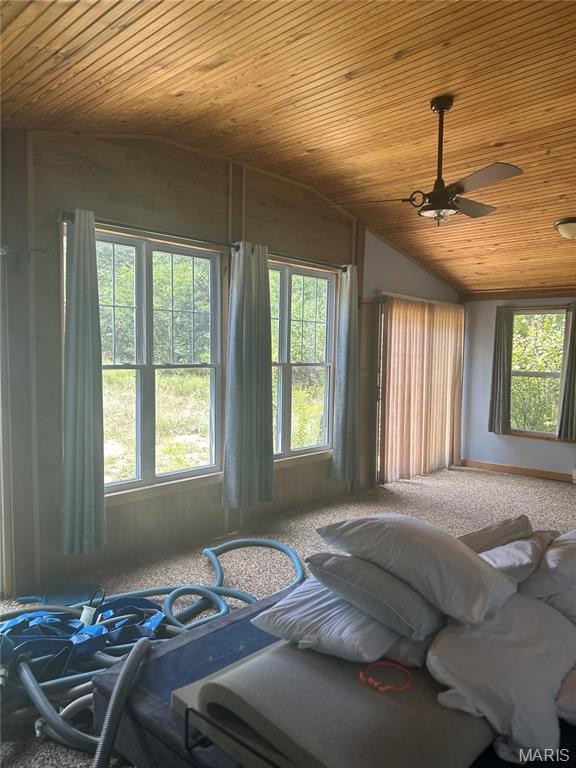 36 Arlie Barr Road Viburnum, MO 65566 - Photo 11 of 34