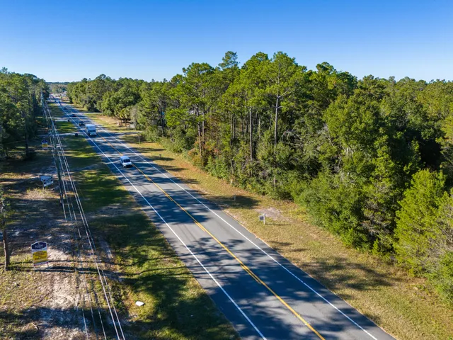 a view of a lush green field with lots of bushes