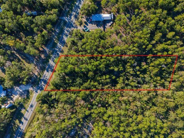 view of a tree with a tree