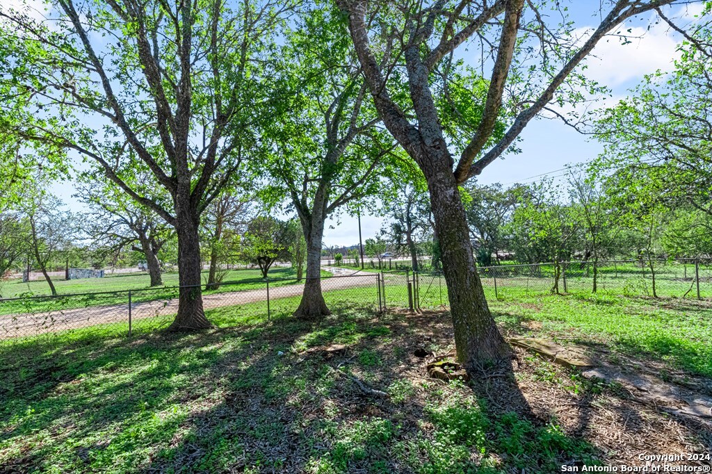 6268 Highway 27 Center Point, TX 78010 - Photo 29 of 39 a view of a garden with a tree
