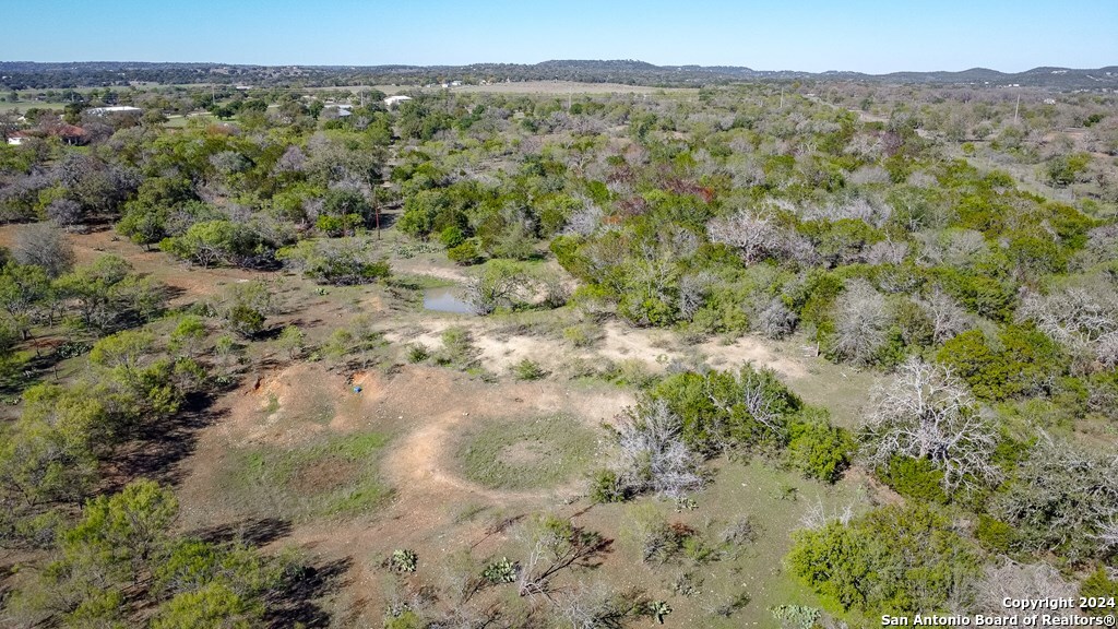 6268 Highway 27 Center Point, TX 78010 - Photo 33 of 39 a view of a yard with a tree