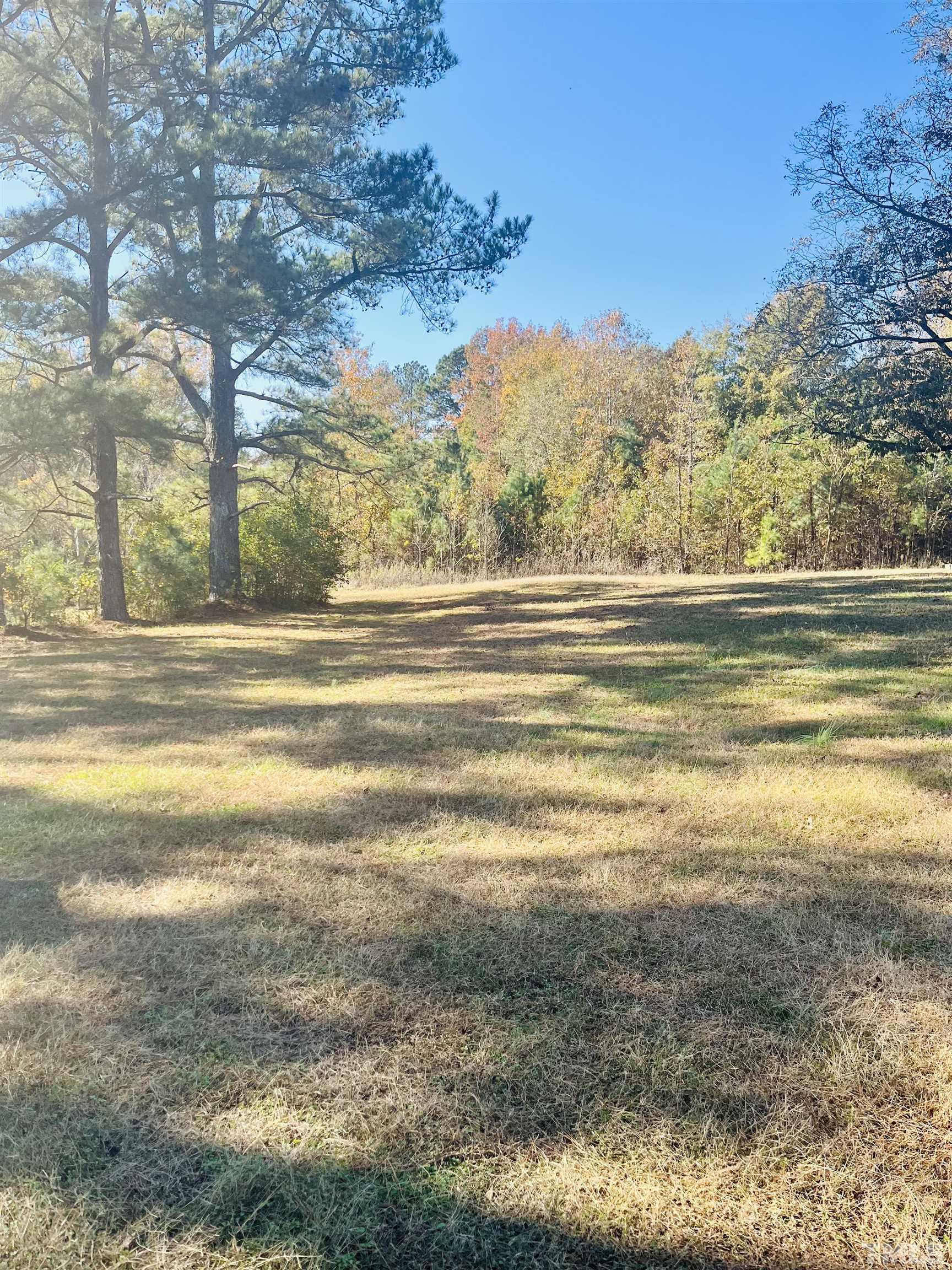 534 Ranch Road Clayton, NC 27520 - Photo 6 of 26 Gallery Image 6