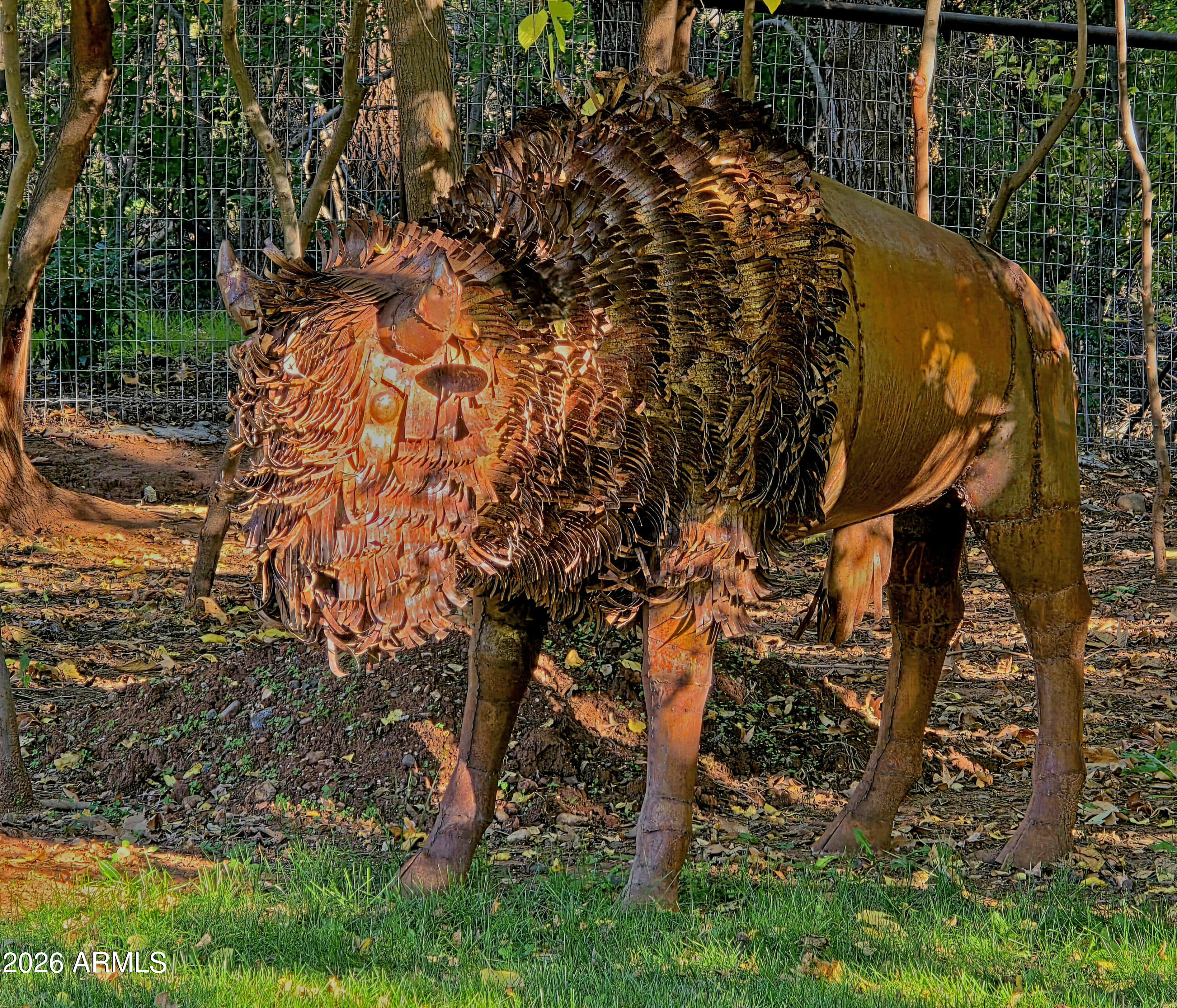 1225 East Willow Point Road Cornville, AZ 86325 - Photo 107 of 132 Buffalo