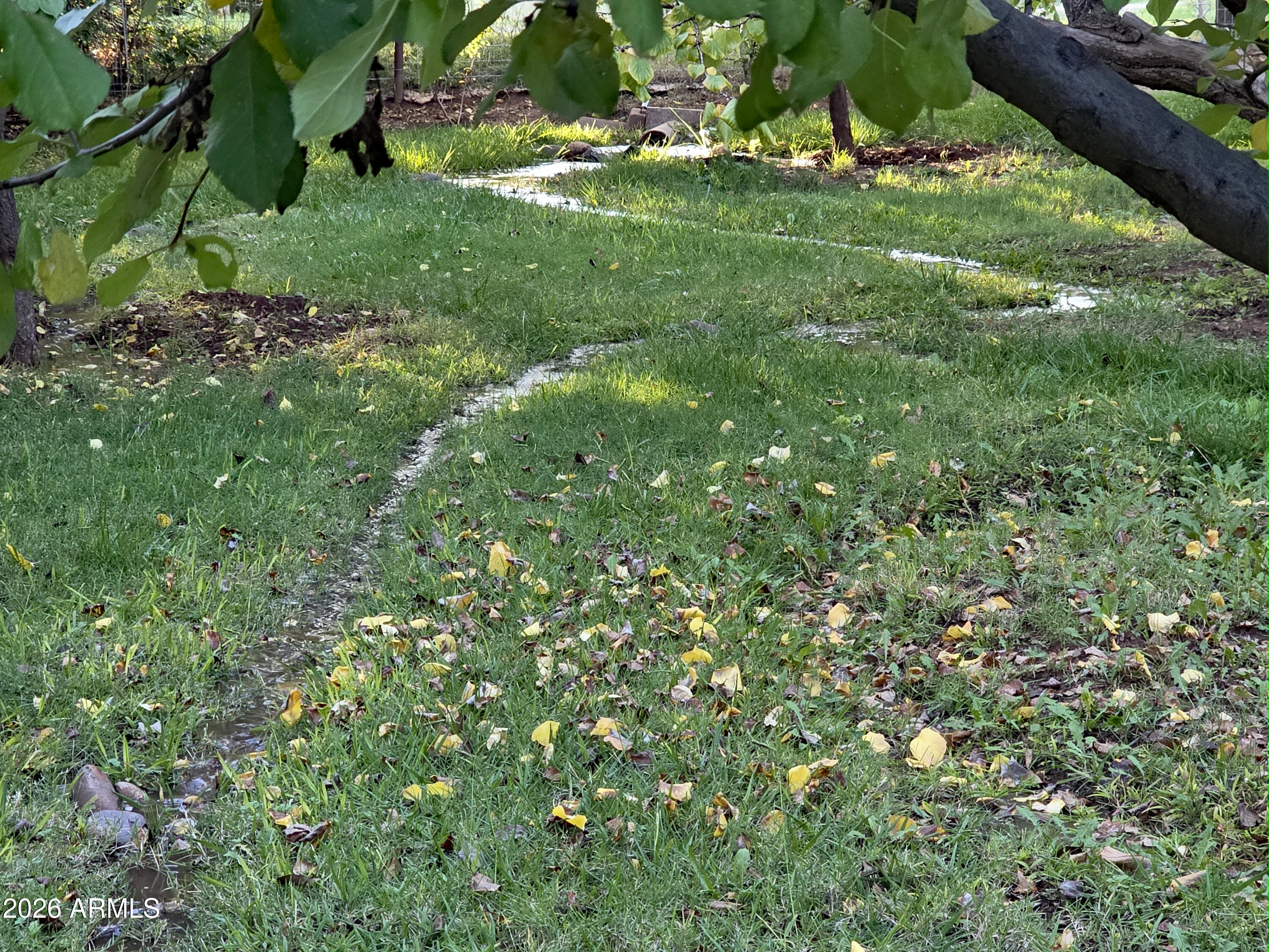 1225 East Willow Point Road Cornville, AZ 86325 - Photo 110 of 132 Ditch2