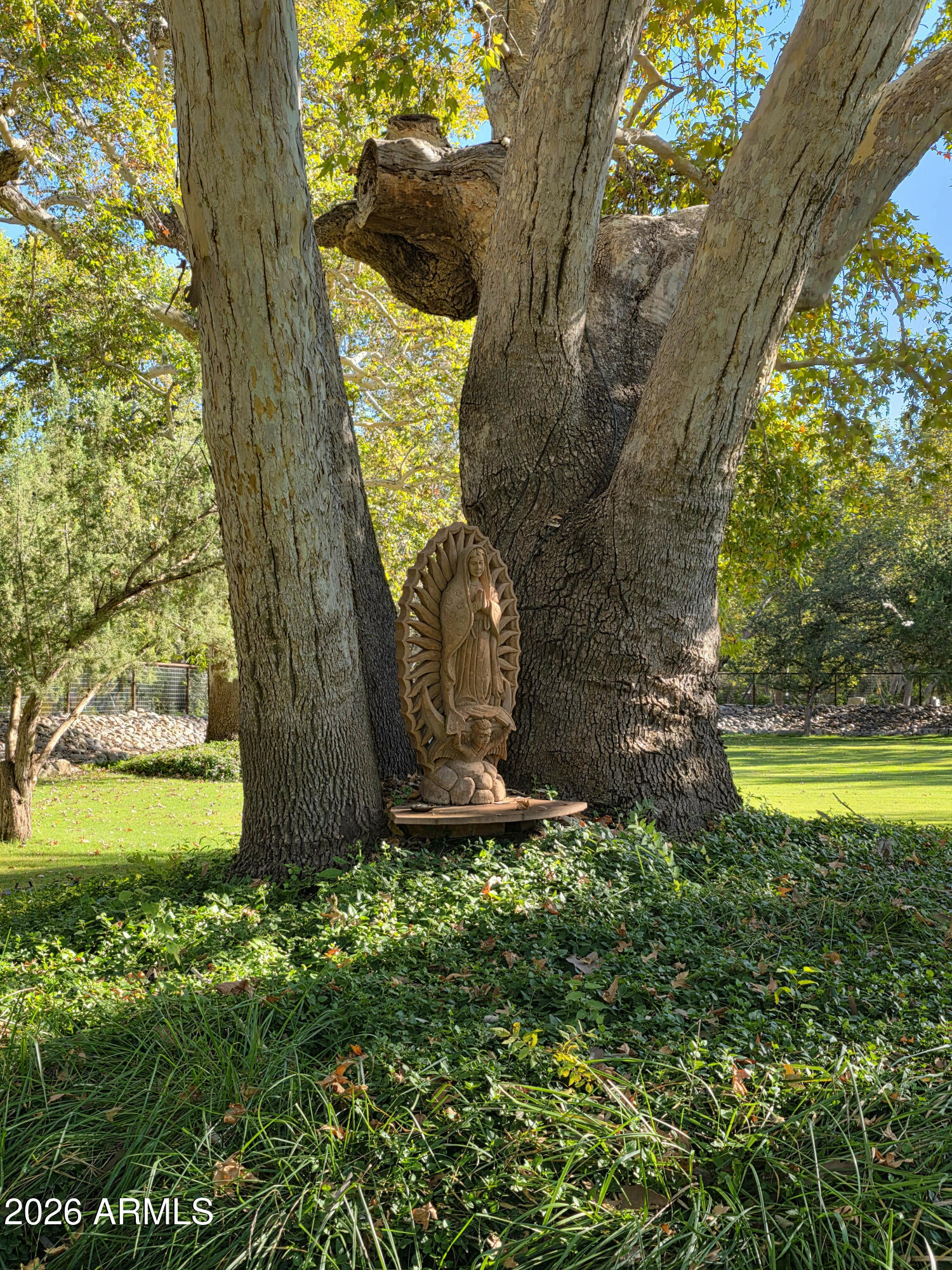 1225 East Willow Point Road Cornville, AZ 86325 - Photo 115 of 132 LadyGuadalupe