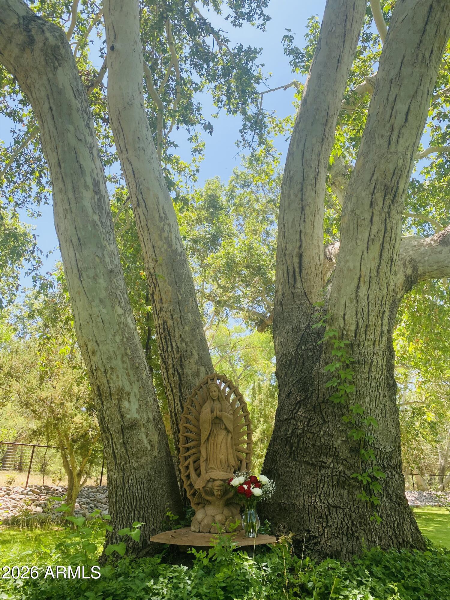 1225 East Willow Point Road Cornville, AZ 86325 - Photo 40 of 132 IMG_7530