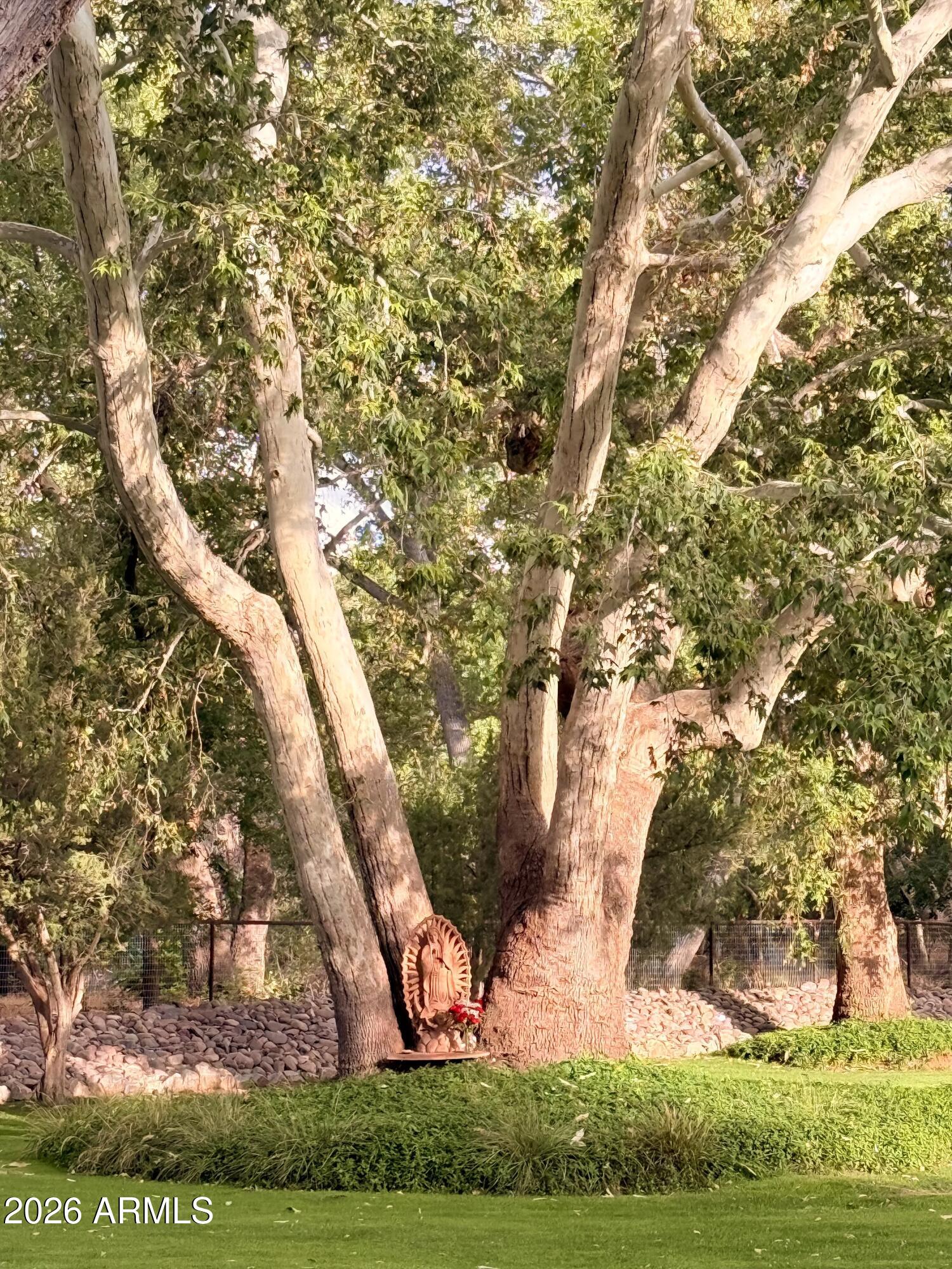 1225 East Willow Point Road Cornville, AZ 86325 - Photo 6 of 132 IMG_6888