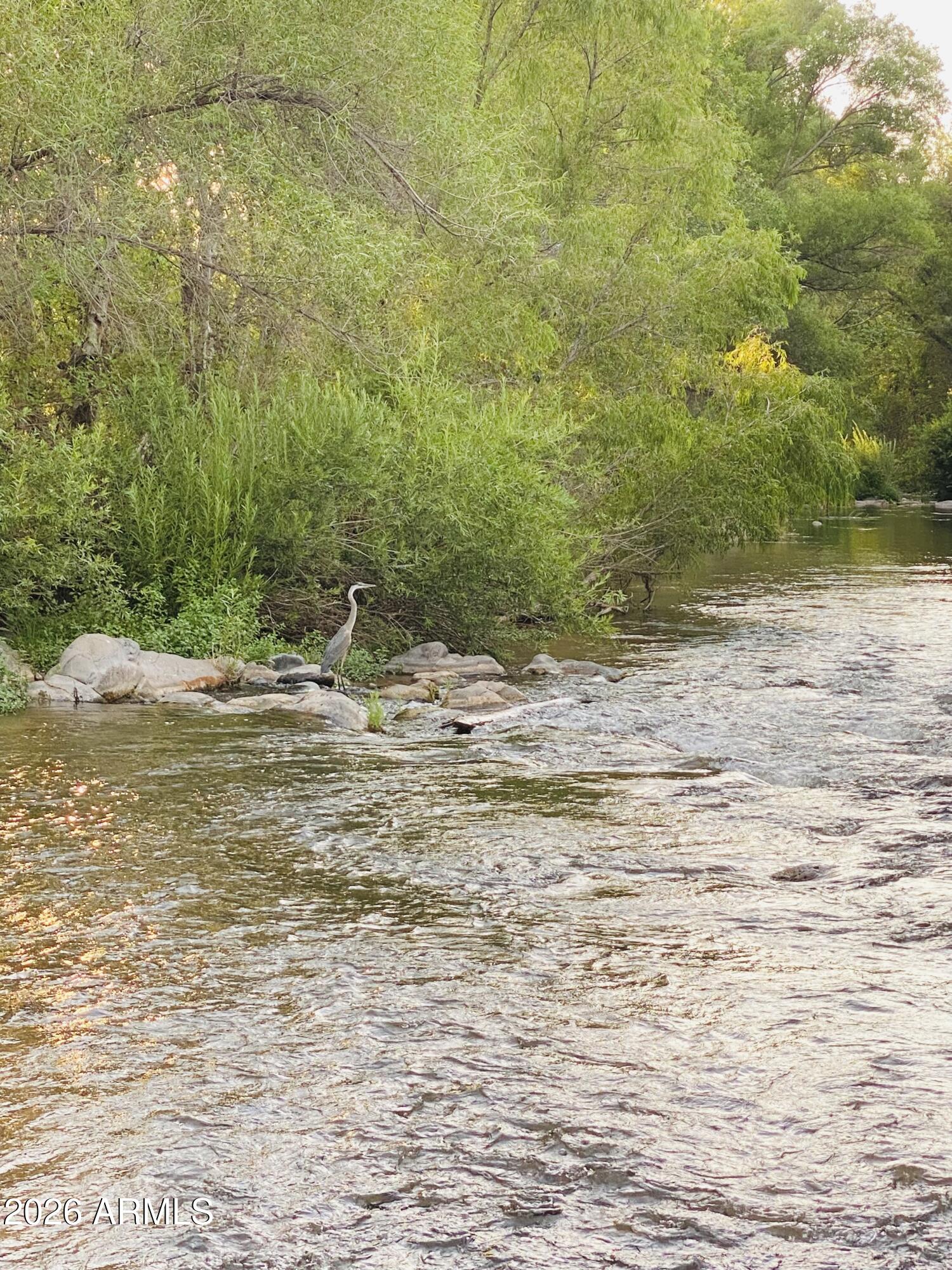 1225 East Willow Point Road Cornville, AZ 86325 - Photo 88 of 132 IMG_7911