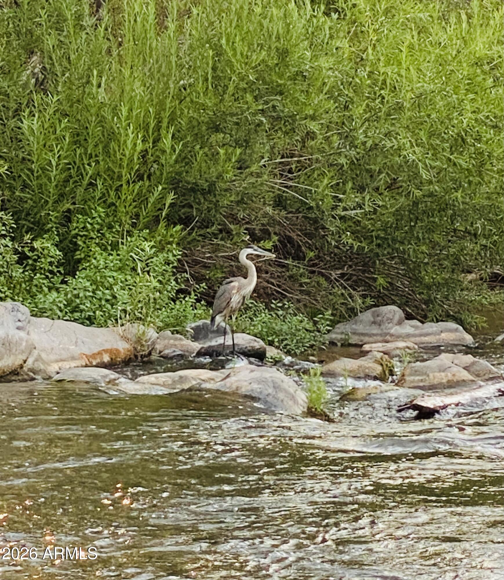 1225 East Willow Point Road Cornville, AZ 86325 - Photo 89 of 132 IMG_7915