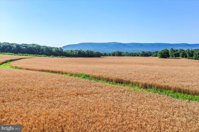 a view of lake and mountain view