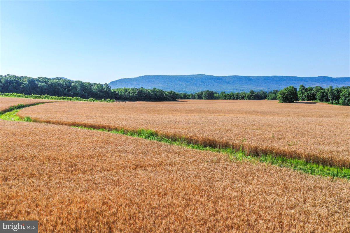 South Ox Road Edinburg, VA 22824 - Photo 12 of 23 a view of lake and mountain view