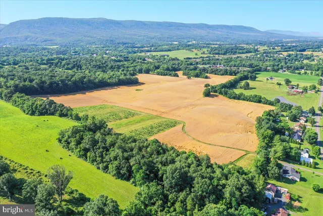 a view of a lake with a mountain in the background