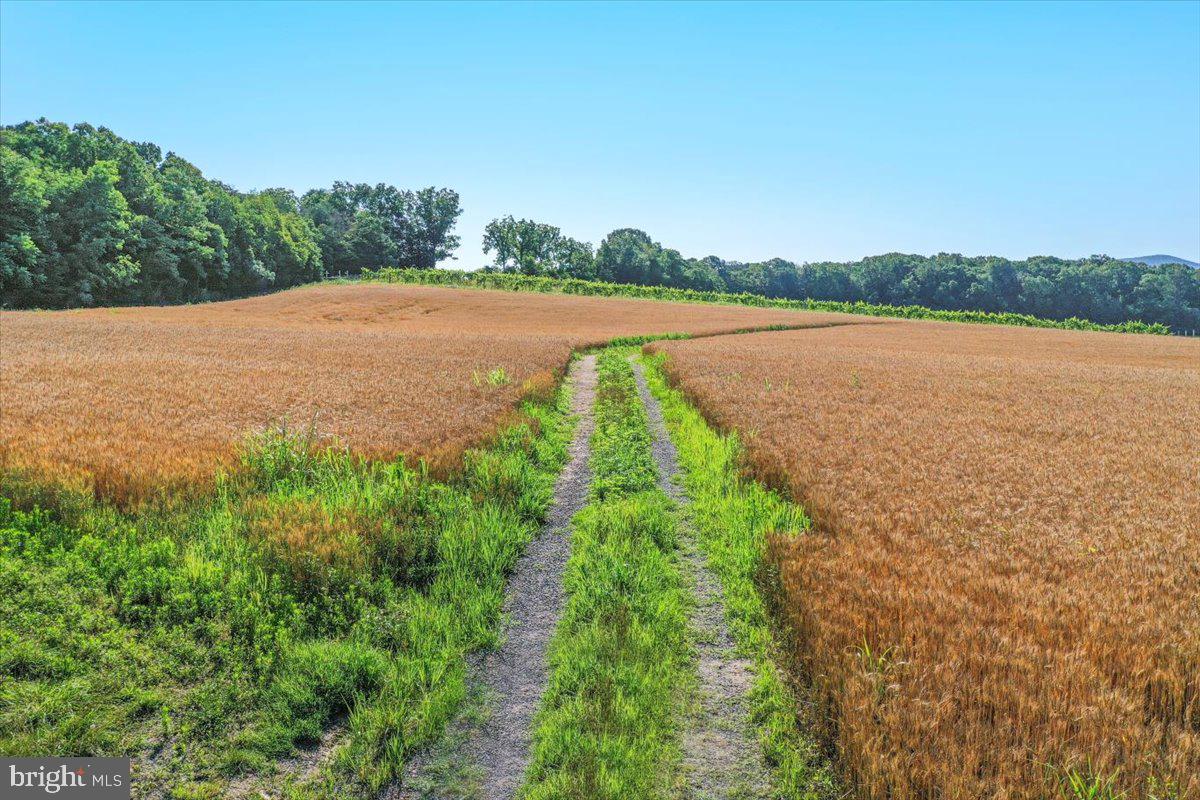 South Ox Road Edinburg, VA 22824 - Photo 22 of 23 a view of a lake from a yard