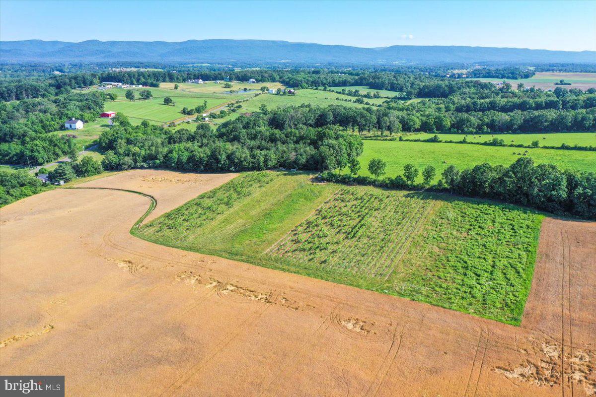 South Ox Road Edinburg, VA 22824 - Photo 23 of 23 a view of a yard with a garden