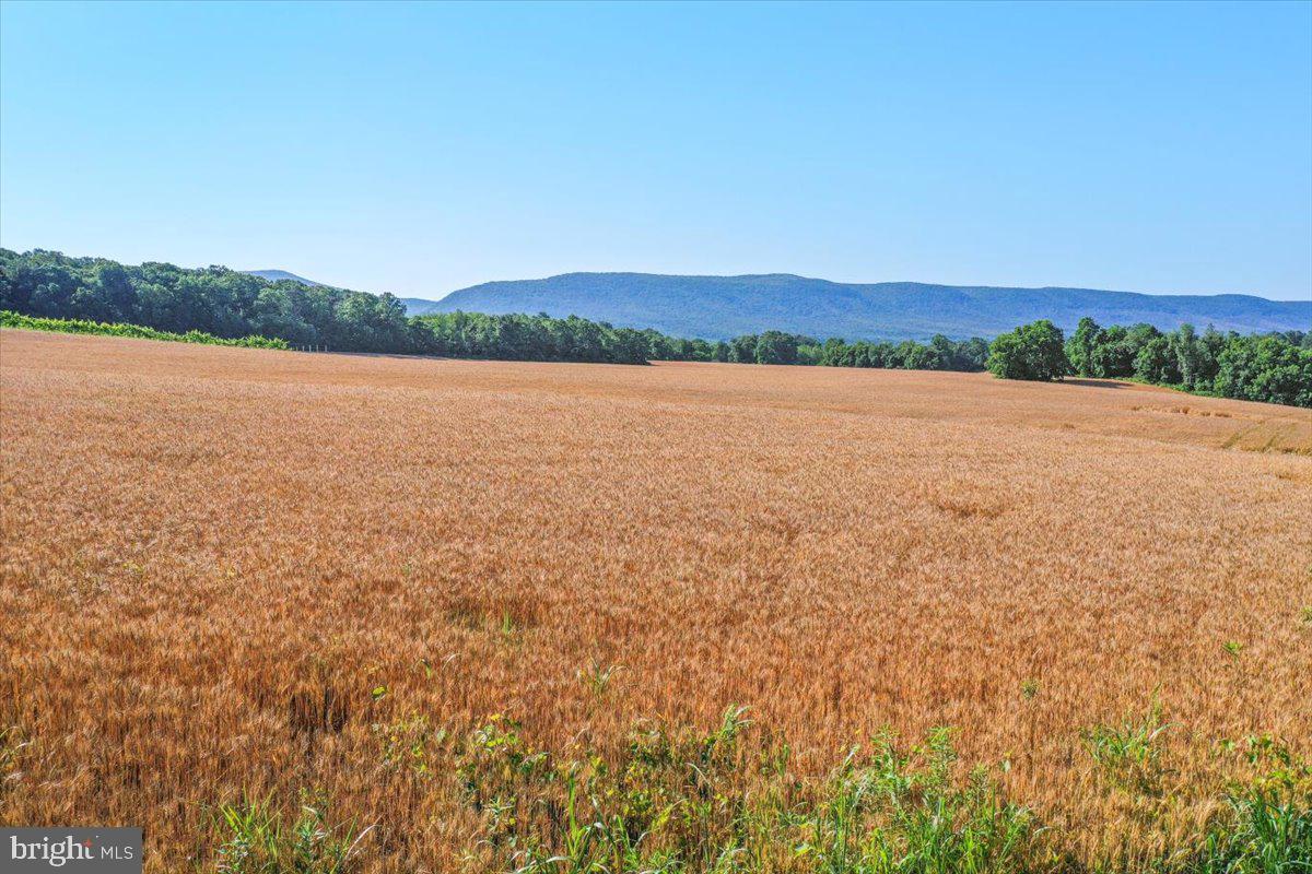 South Ox Road Edinburg, VA 22824 - Photo 4 of 23 a view of lake and mountain