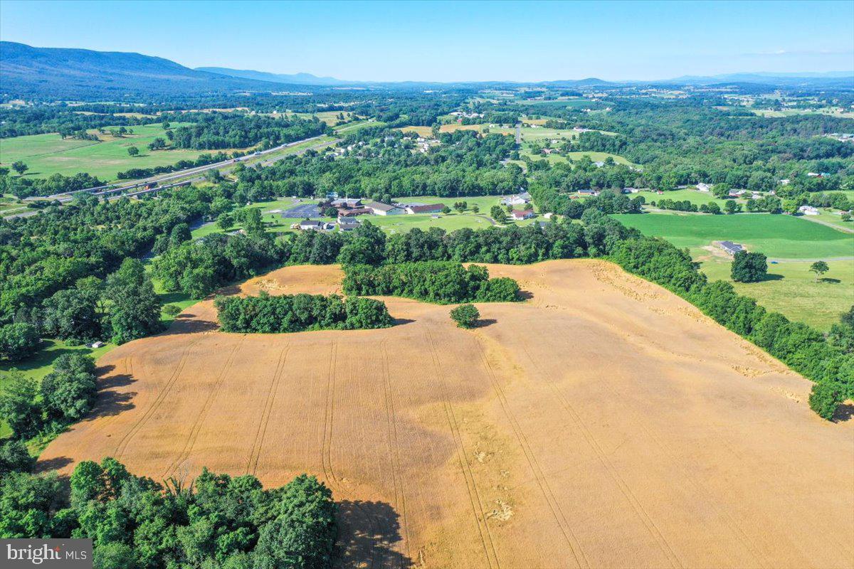 South Ox Road Edinburg, VA 22824 - Photo 6 of 23 a view of a street with a yard and large trees