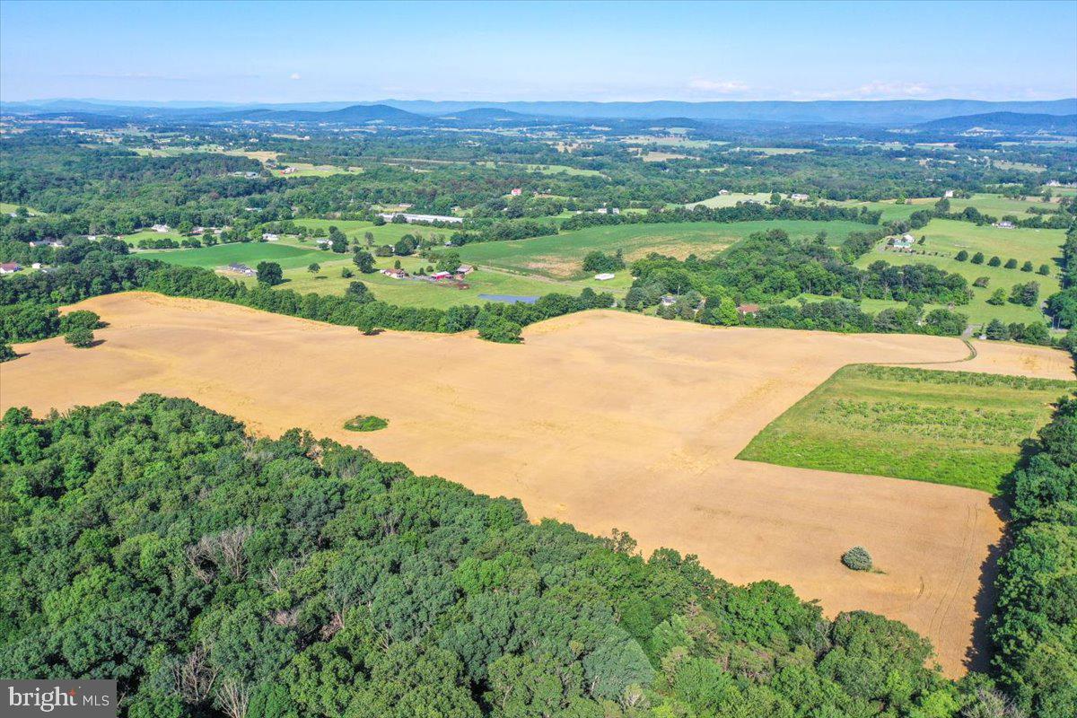 South Ox Road Edinburg, VA 22824 - Photo 8 of 23 an aerial view of a houses with a yard and lake view