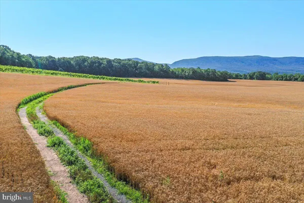 a view of a lake with houses in the back