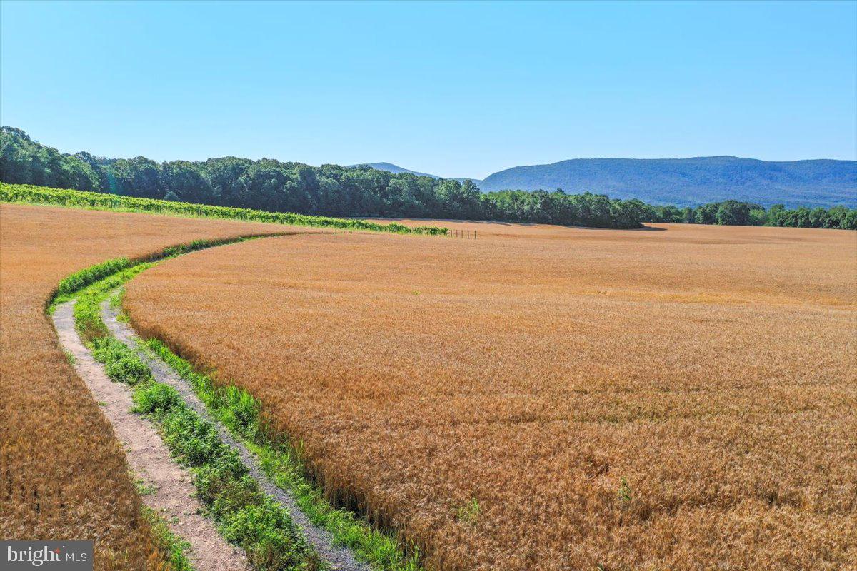 South Ox Road Edinburg, VA 22824 - Photo 9 of 23 a view of a lake with houses in the back