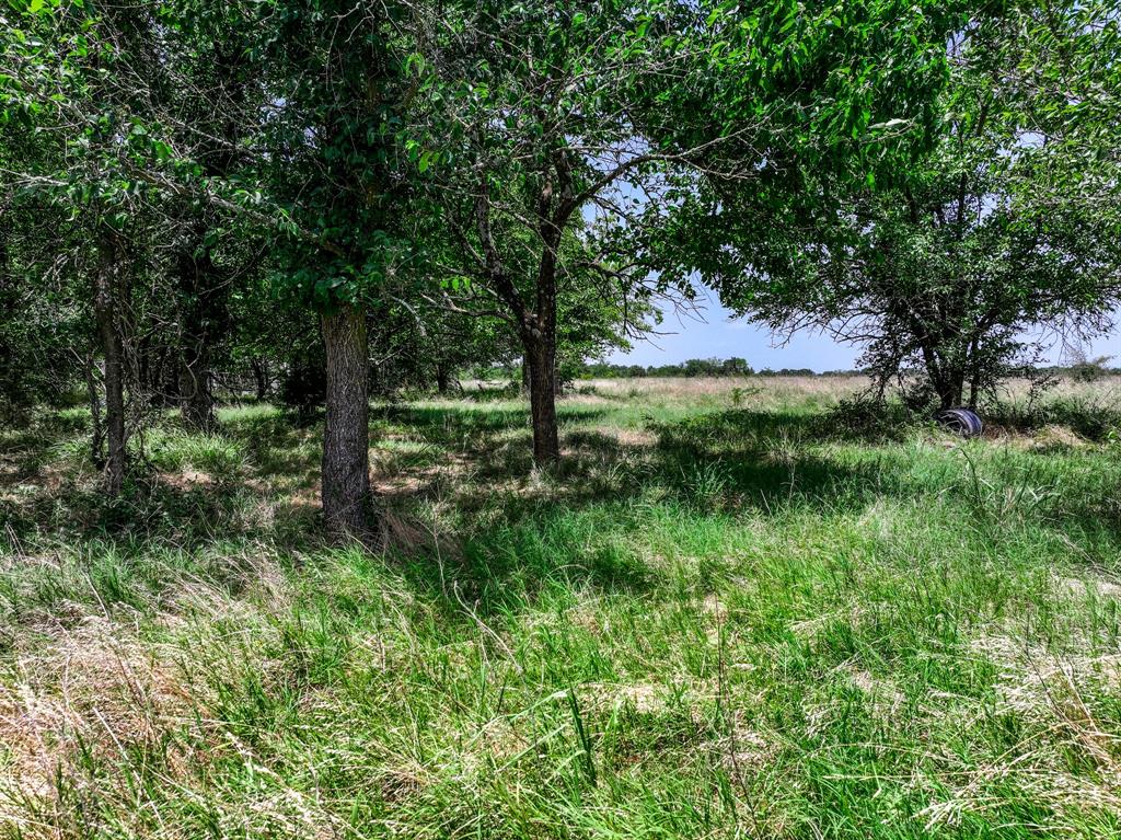0 West Farm Road Talco, TX 75487 - Photo 27 of 37 Gallery Image 27