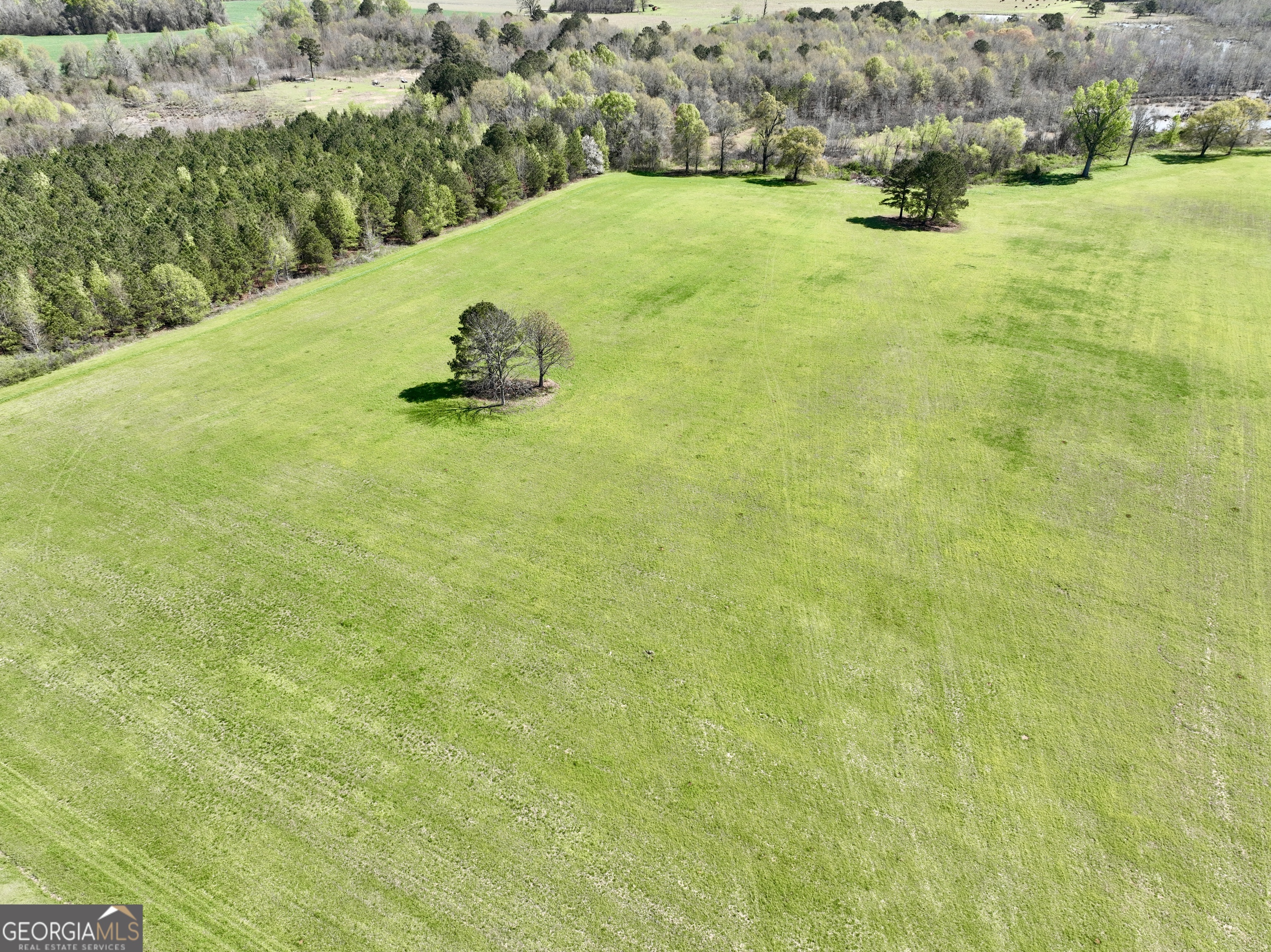 0 Industrial Park Road Unadilla, GA 31091 - Photo 13 of 25