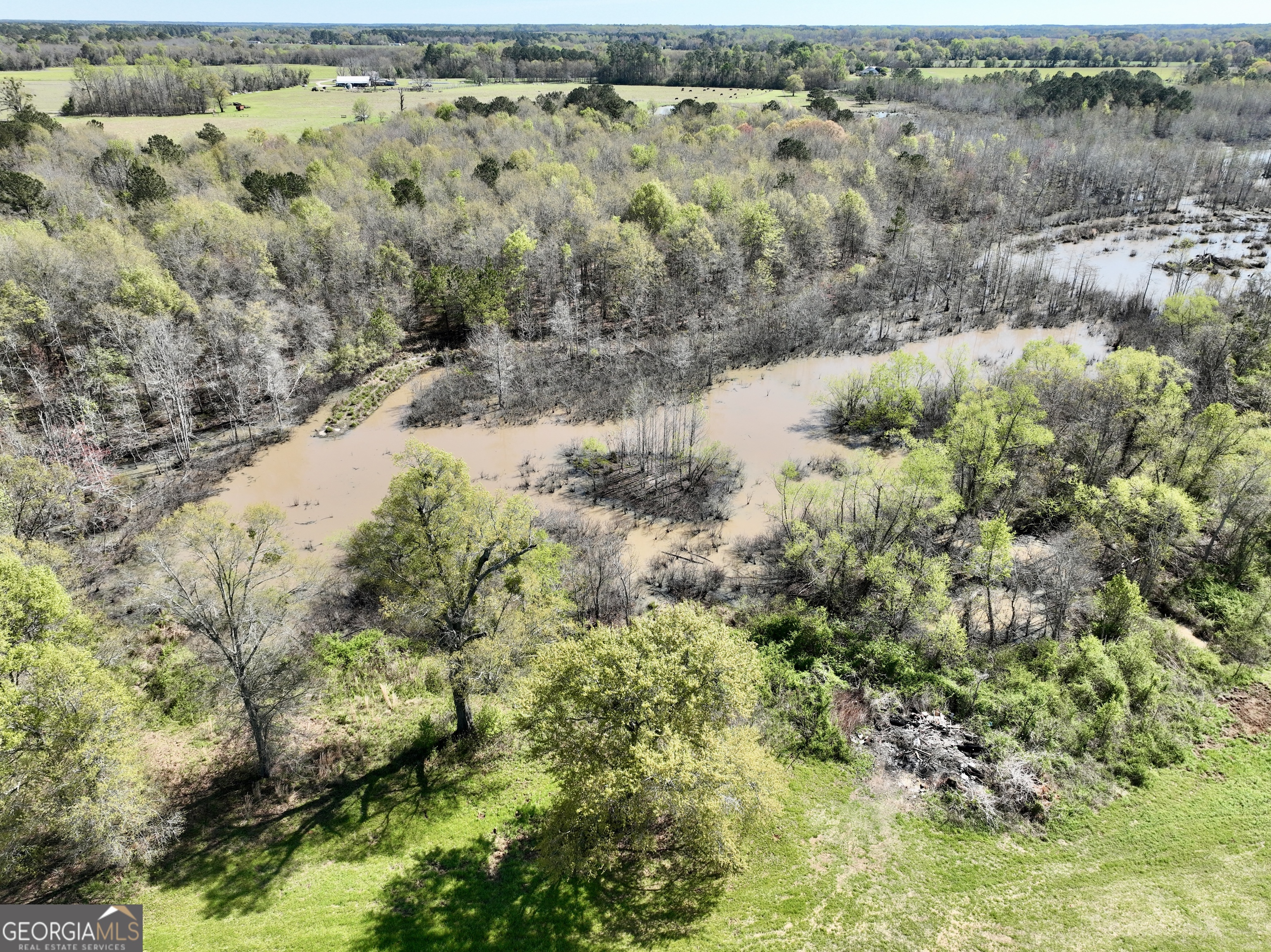 0 Industrial Park Road Unadilla, GA 31091 - Photo 18 of 25