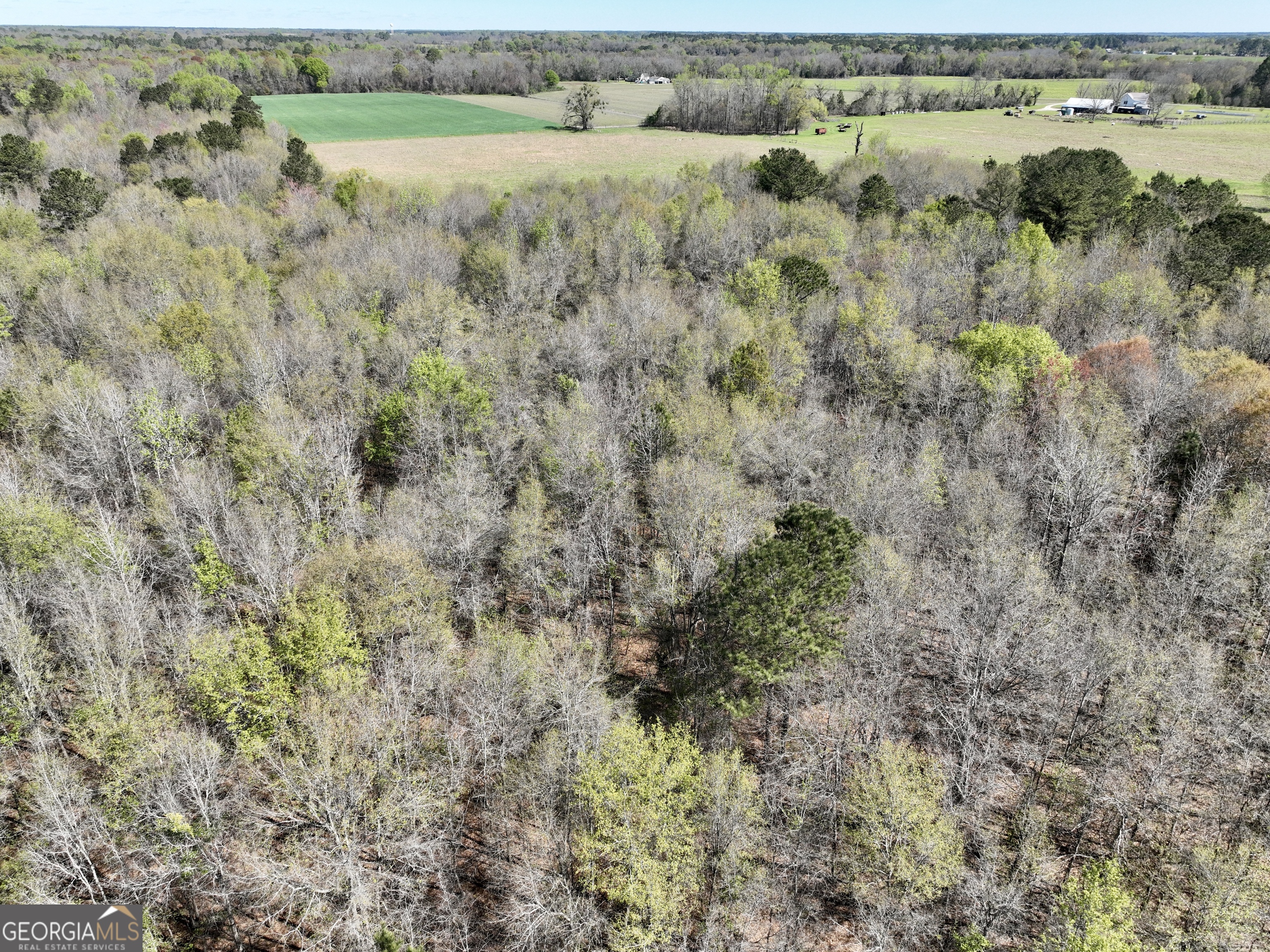 0 Industrial Park Road Unadilla, GA 31091 - Photo 21 of 25