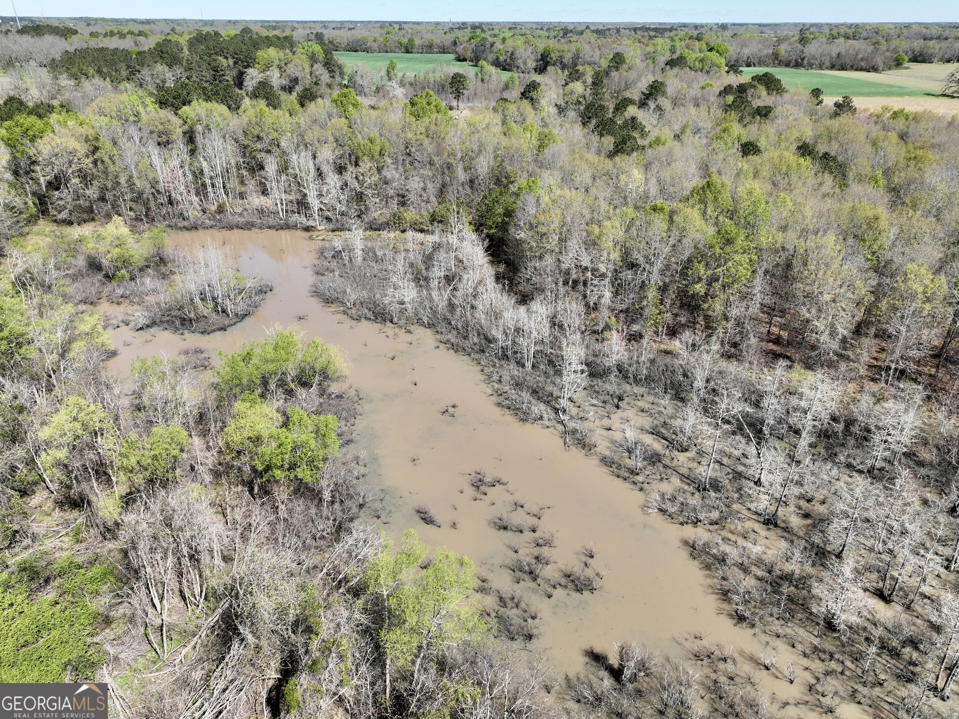 0 Industrial Park Road Unadilla, GA 31091 - Photo 23 of 25