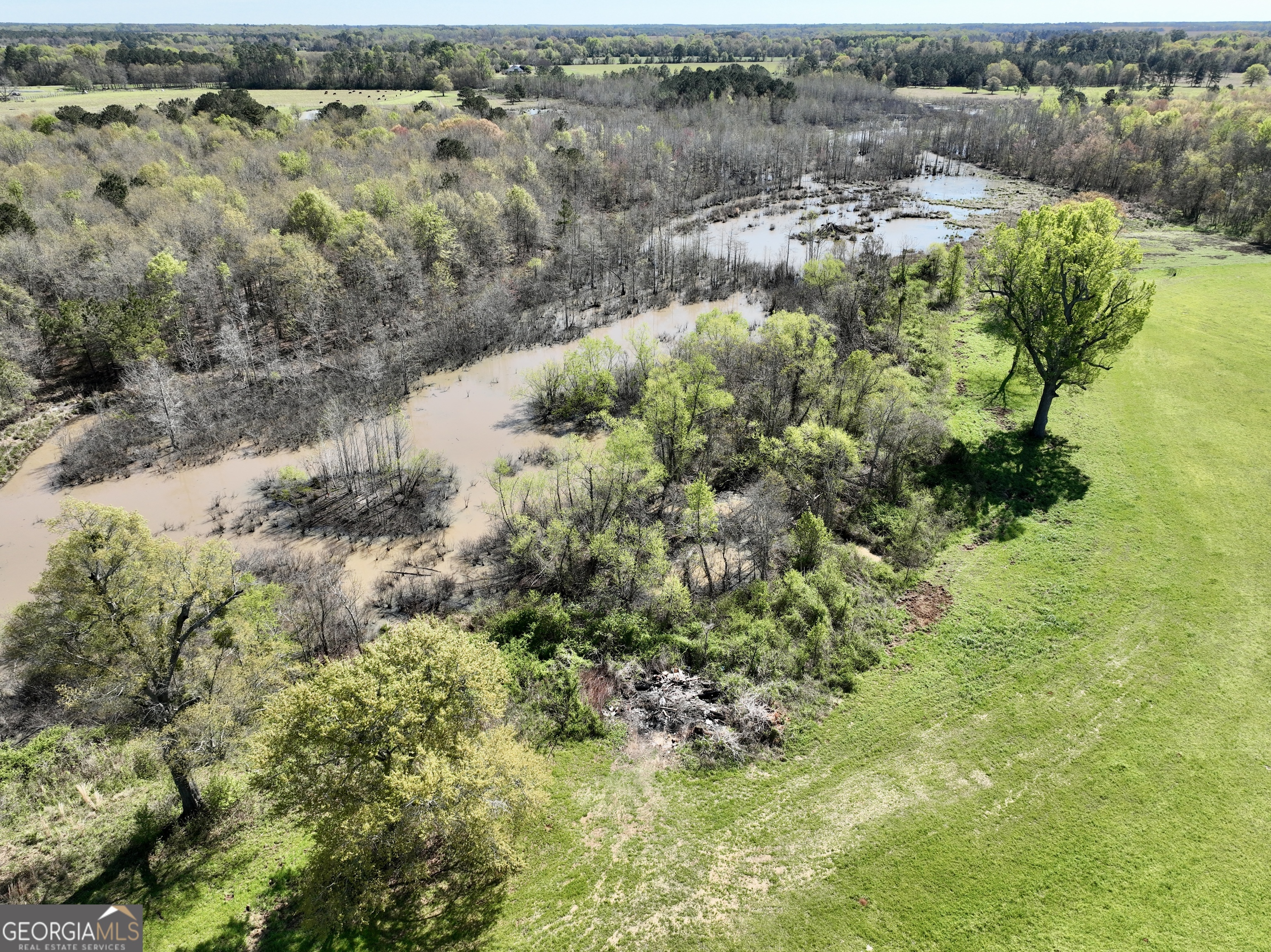 0 Industrial Park Road Unadilla, GA 31091 - Photo 4 of 25