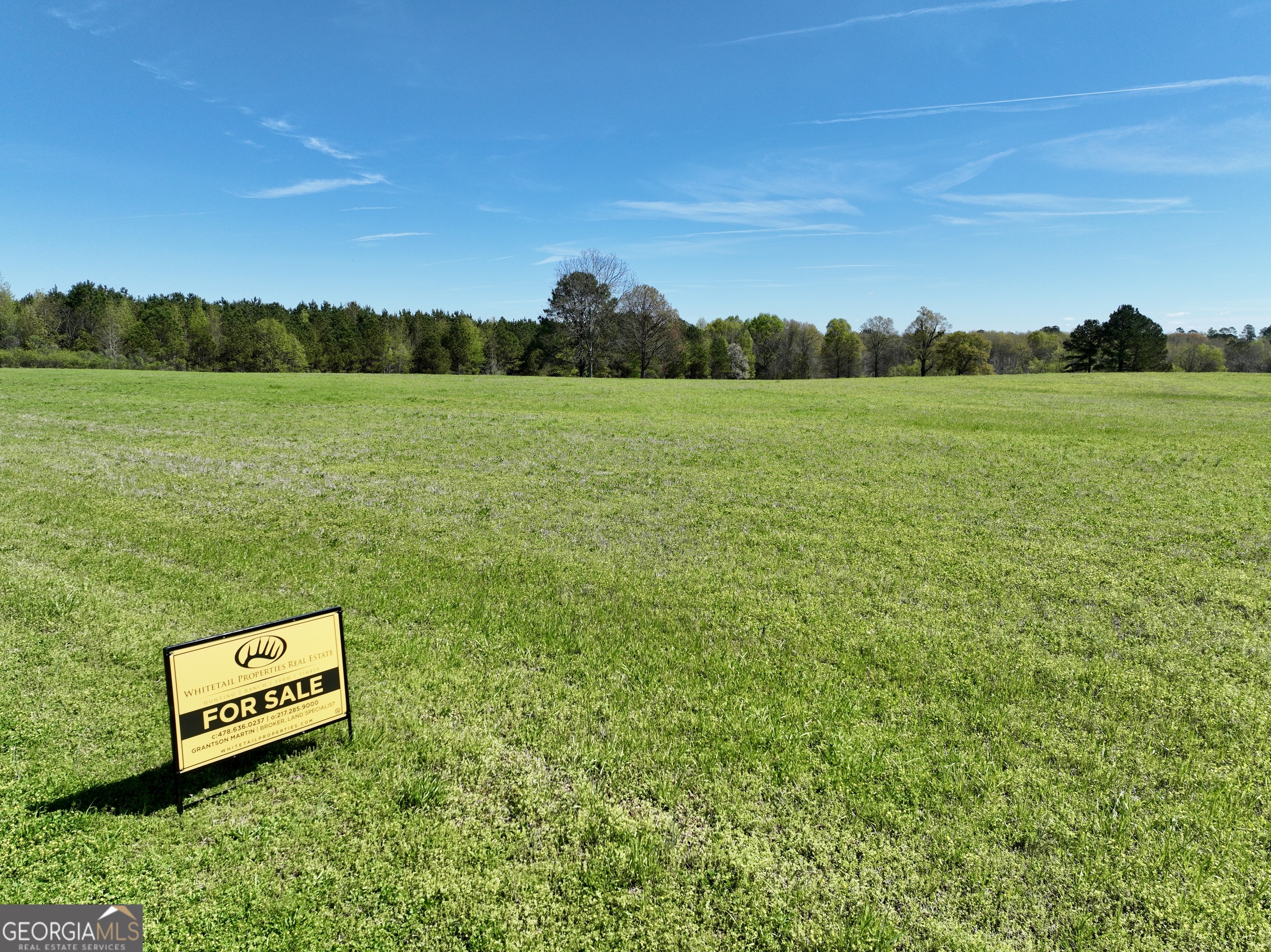 0 Industrial Park Road Unadilla, GA 31091 - Photo 5 of 25