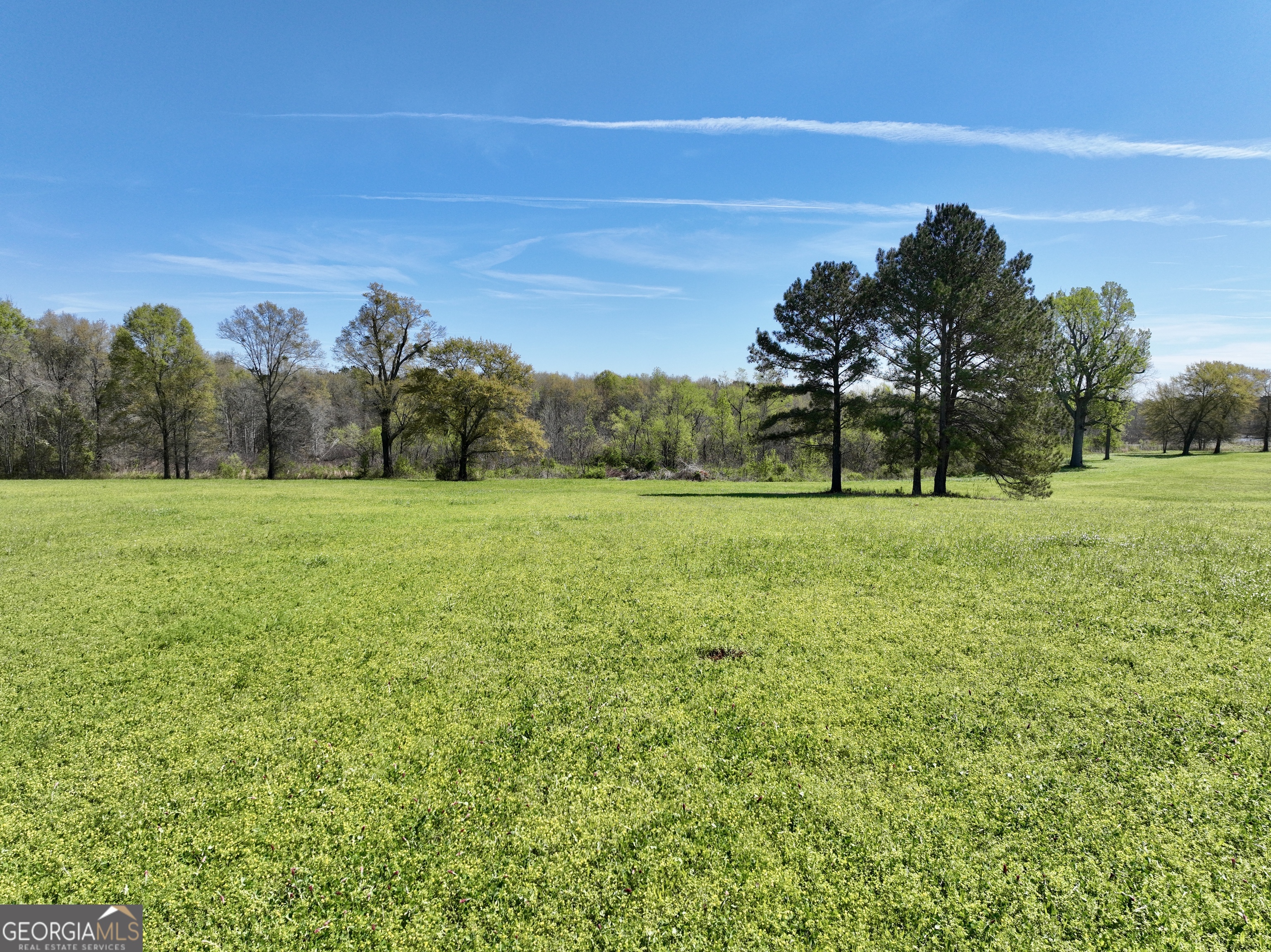 0 Industrial Park Road Unadilla, GA 31091 - Photo 10 of 25