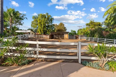 a view of a yard with plants and tree