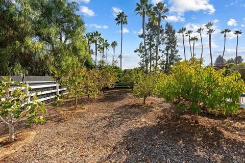 a view of outdoor space with lots of trees