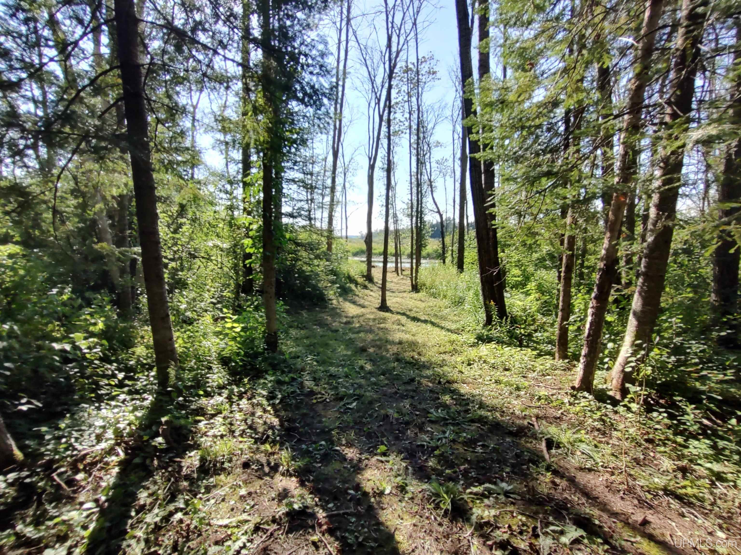 387 Rd Mcmillan Mi 49853 Road Newberry, MI 49868 - Photo 50 of 78