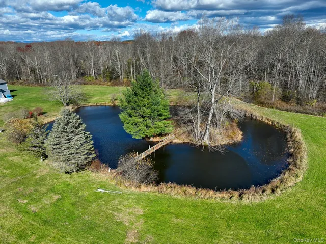 an aerial view of a house with a garden and swimming pool