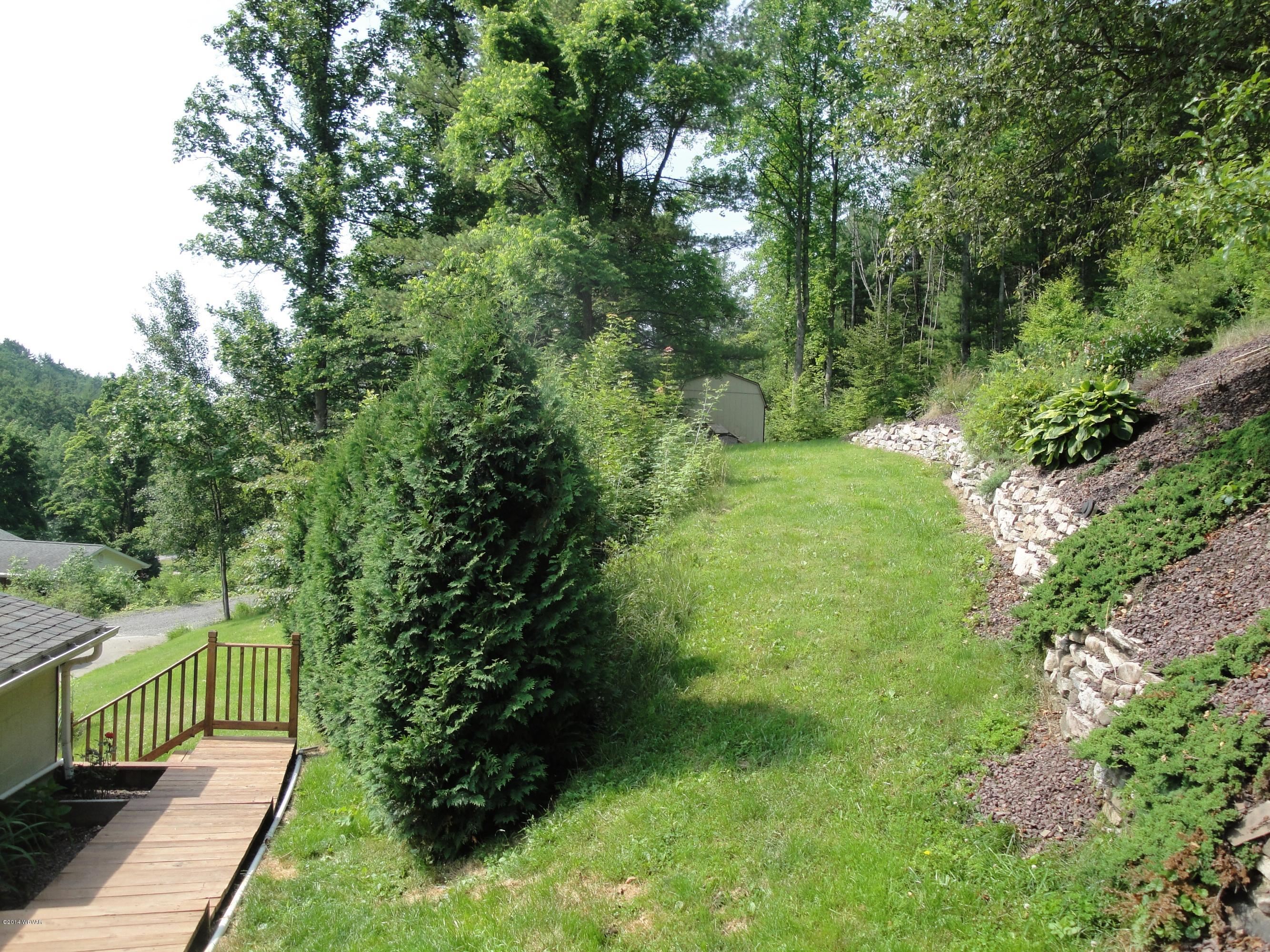 2001 Bloomingrove Road Williamsport, PA 17701 - Photo 21 of 22 Back of House