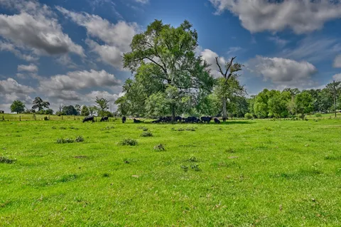 a view of yard with green space