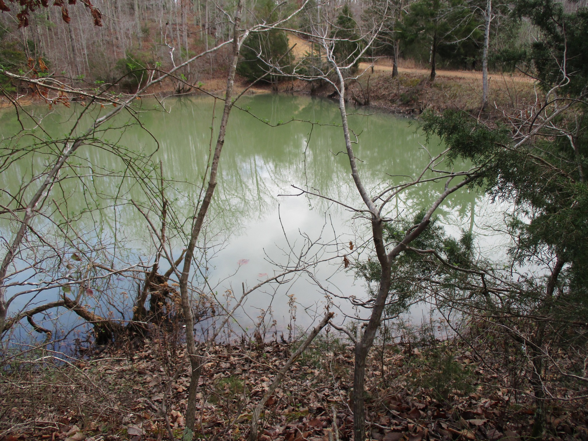 0 Split Lake Road Nunnelly, TN 37137 - Photo 1 of 8 a view of swimming pool from a lake view