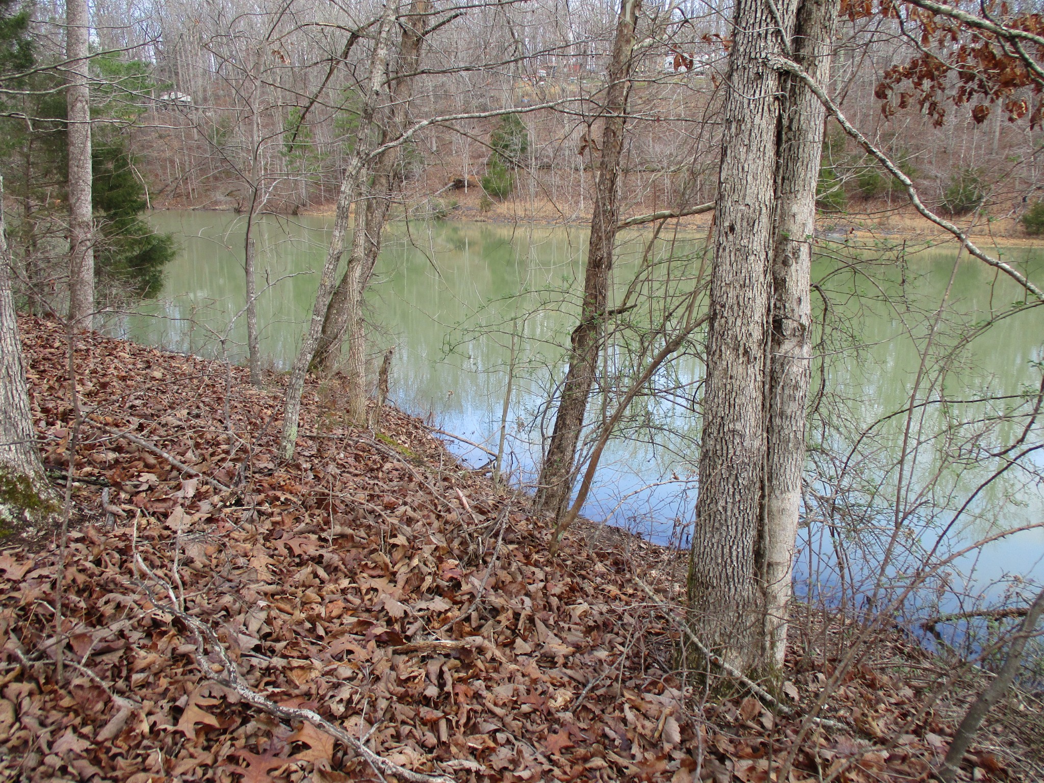 0 Split Lake Road Nunnelly, TN 37137 - Photo 3 of 8 a backyard of a house with lots of green space