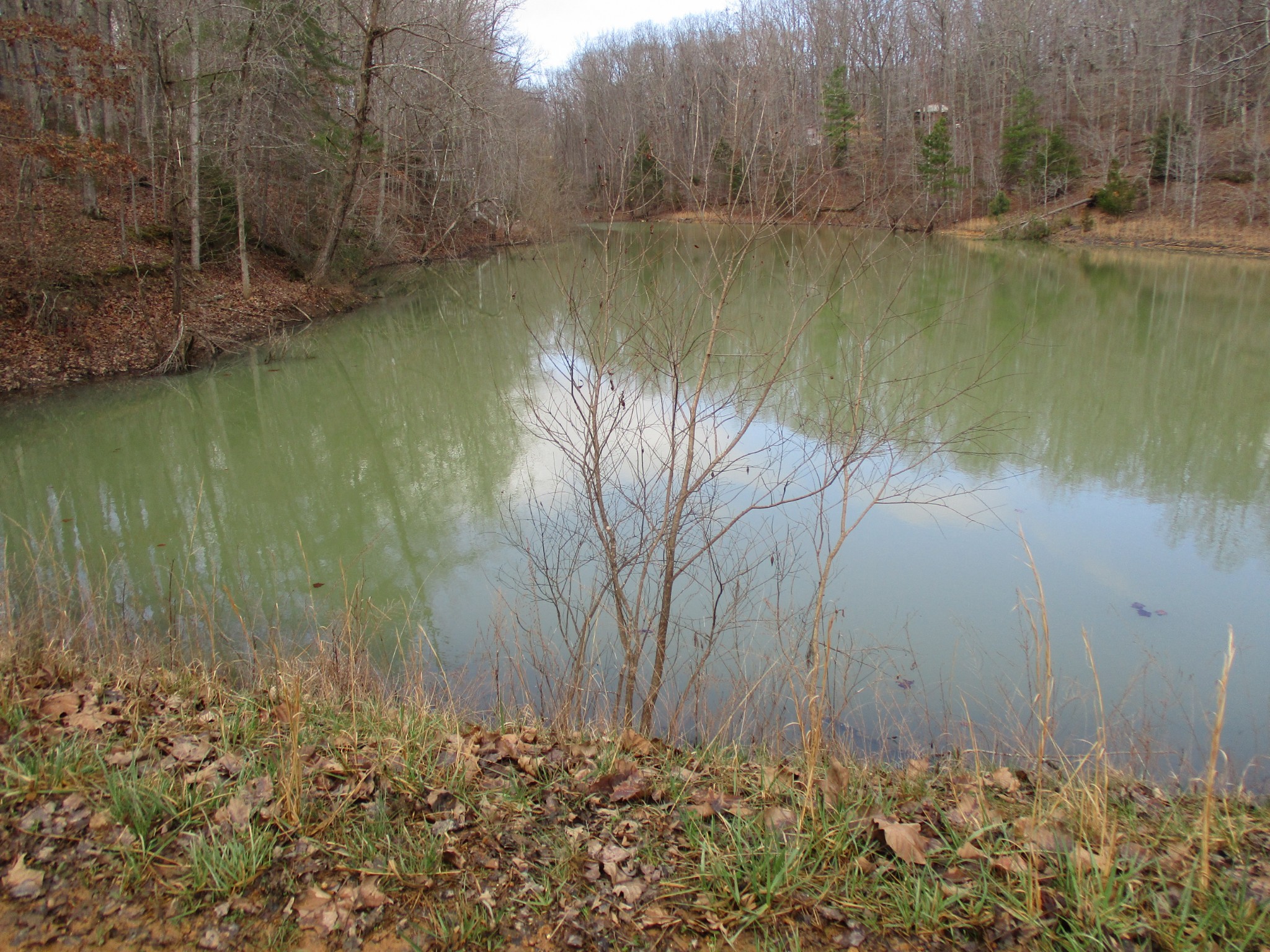 0 Split Lake Road Nunnelly, TN 37137 - Photo 6 of 8 a view of lake